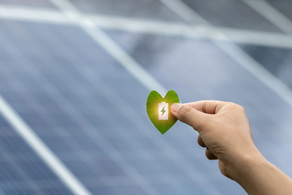 A hand holding a leaf with a white lightning bolt on it

Description automatically generated